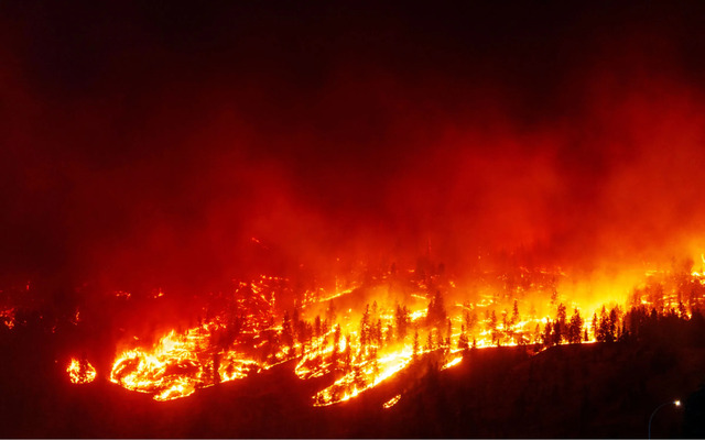  Wildfires are unintentional fires that burn in protected environments