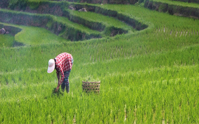 Weather change may influence work and productivity