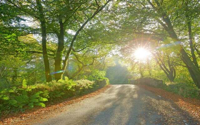 Is a sunny day is the best weather for photography?