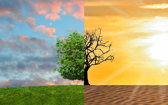  How does weather differ from climate?