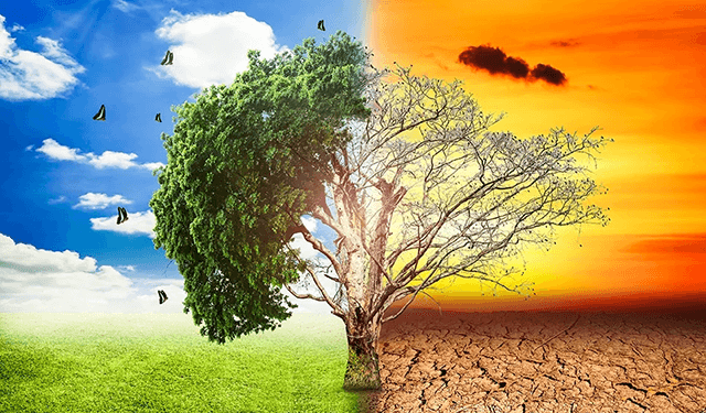 Global Climate Forecast: 2021 will be slightly cooler than 2020 but …