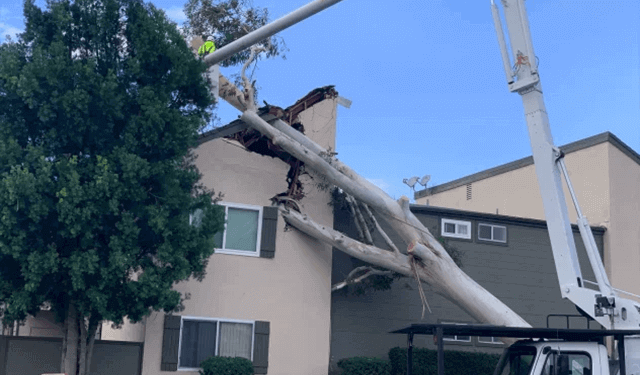 Widespread high winds to rattle California, raise wildfire danger