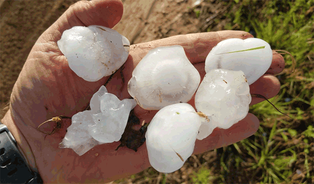Weather Forecast: Severe weather season in Central Texas so far