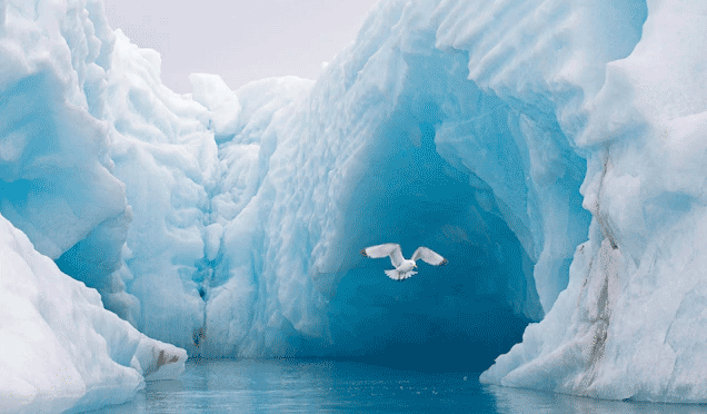 February temperatures in the Arctic Ocean were much higher than usual