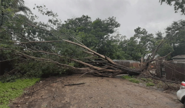 Gale force winds and heavy rain forecast in Queensland