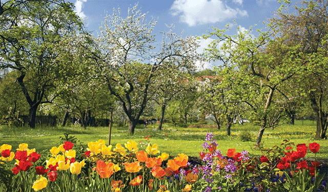 March Equinox 2021: When is the year's first day of spring?