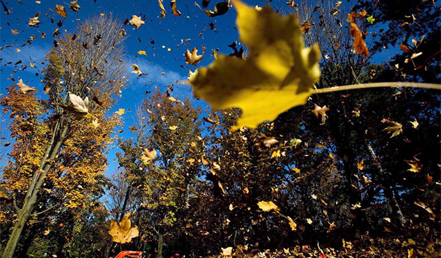 Average fall, cold winter predicted ahead In Canada