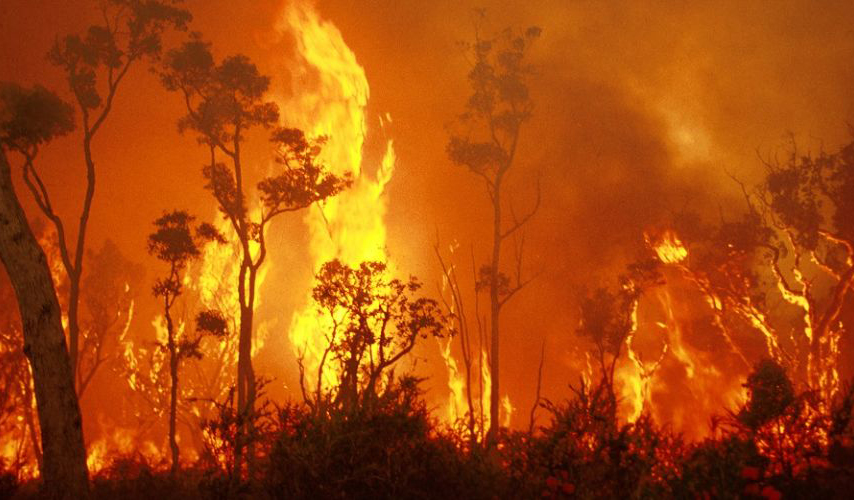 Firefighters Have Been Battling a Brush Fire in Weare