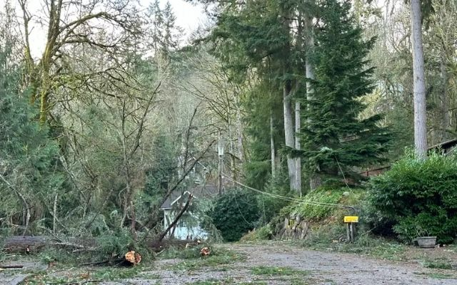 At Least Two Dead & Power Outages as a Bomb Cyclone Hits Washington