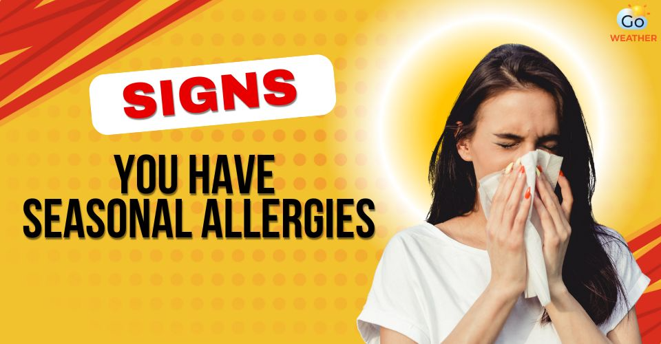 5+ Common Signs You Have Seasonal Allergies: Keep Them In Check Now