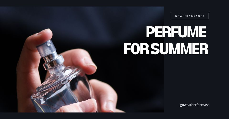 10+ Best Perfume for Hot Weather: A Buying Guide for Men & Women