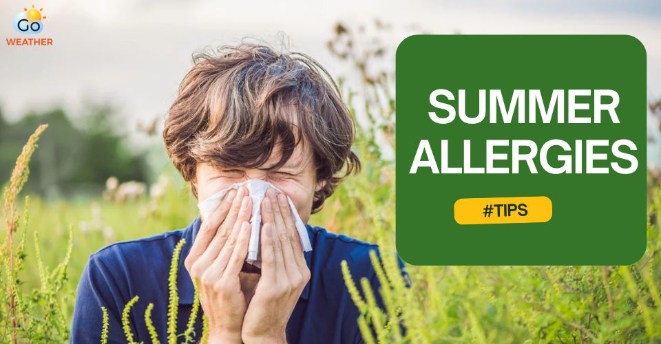 12 Best Summer Allergy Tips for Enjoying the Season Without Sneezing
