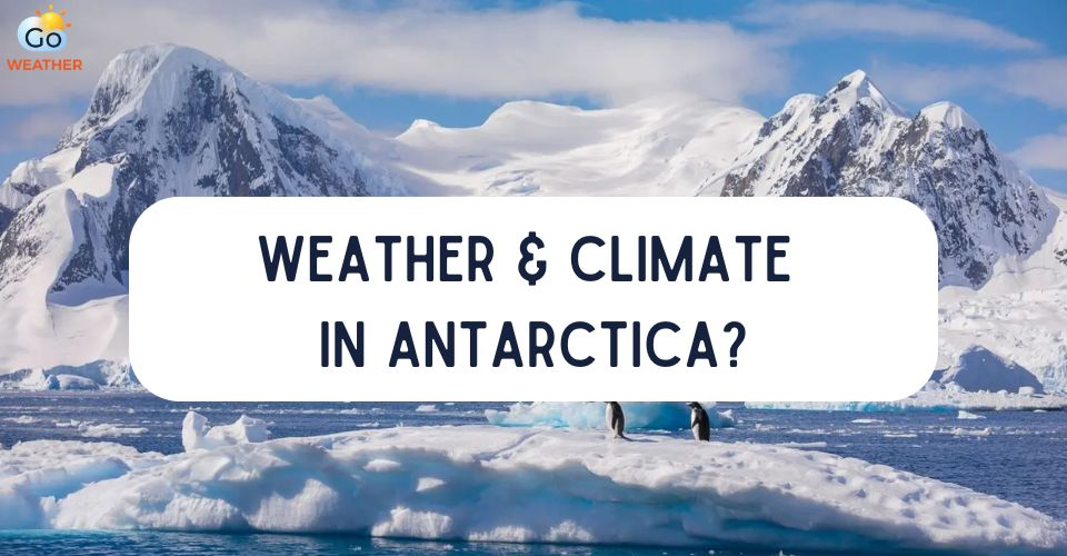 What is the Weather and Climate in Antarctica Like? Key Features