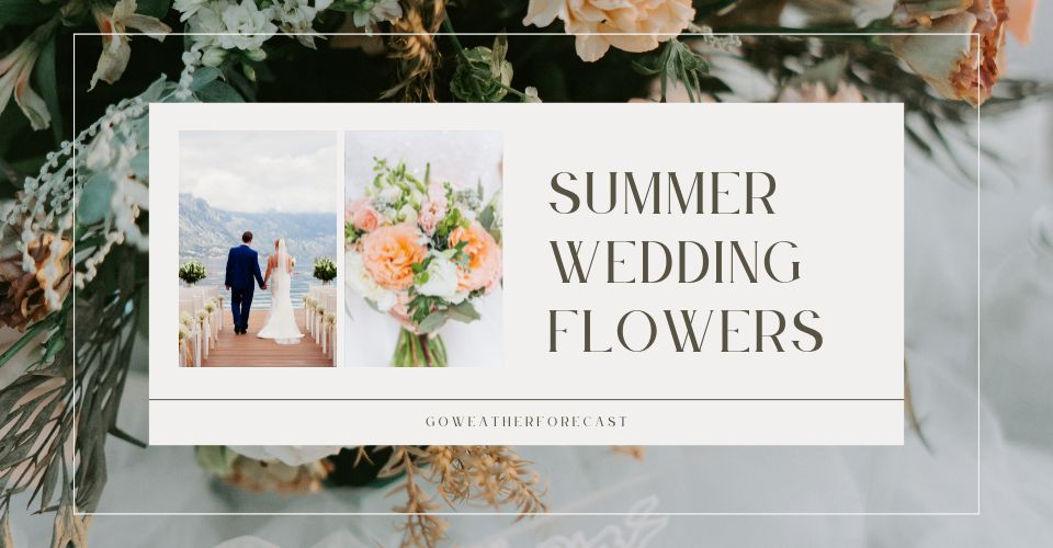 Best Summer Wedding Flowers: 10 Ideas That Embrace the Season