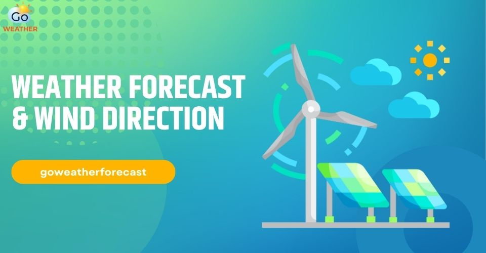 The Importance of Weather Forecast and Wind Direction [Full Guide]