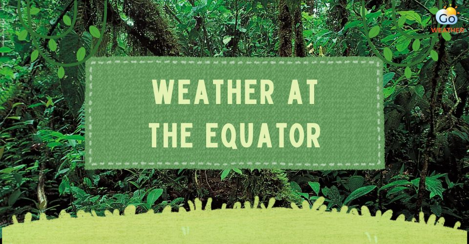 What is the Climate at the Equator? Seasons, Temperature & More