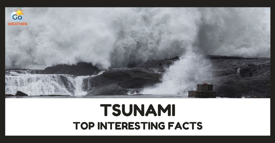 10+ Interesting Facts About Tsunamis You Have Never Heard of [Latest]