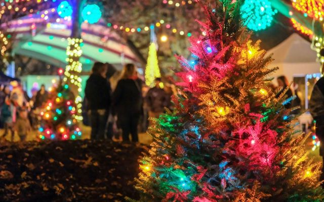 Kzoo Parks' December to Remember Event Was Cancelled Due to Weather
