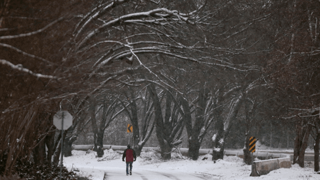 Heaviest snowfall in decades in Texas