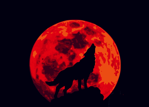 Full Wolf Moon Will be Shinning in the Sky This Week – How to Spot It?