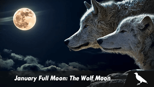 Full Wolf Moon Will be Shinning in the Sky This Week – How to Spot It?