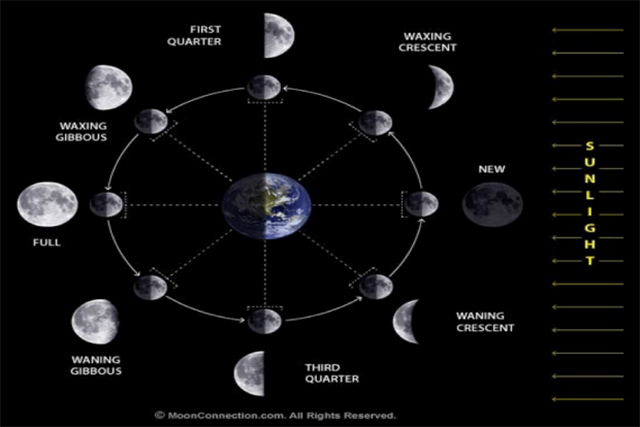 Moon phases and tides