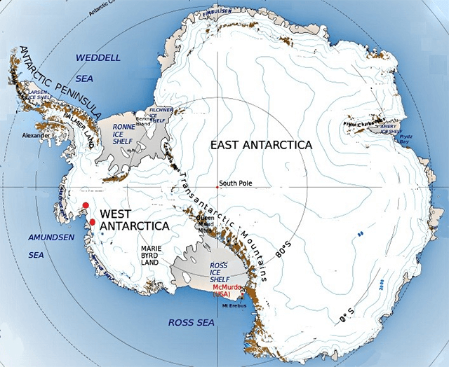 what lives at the south pole