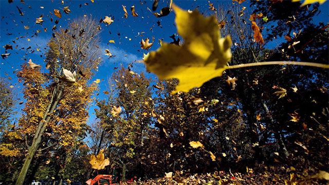 Average fall, cold winter predicted ahead In Canada