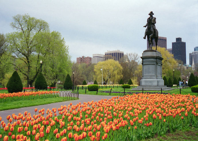 The spring in Boston