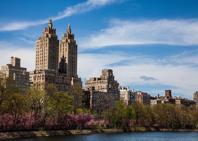 Spring in New York