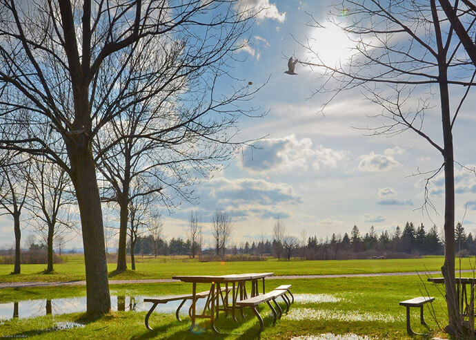 Spring in Toronto