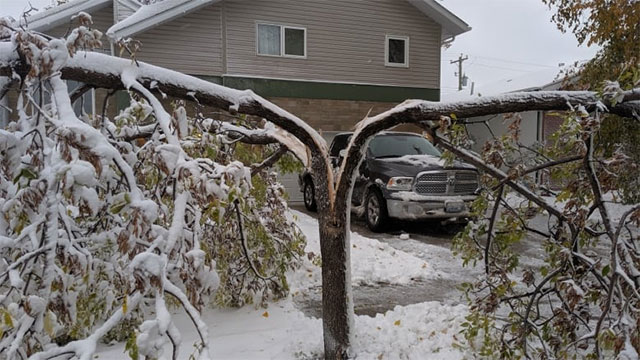 Severe Manitoba Snowstorm Snaps Trees, Closes Schools, & Shuts Highways