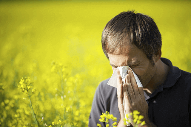 Summer Allergy tips