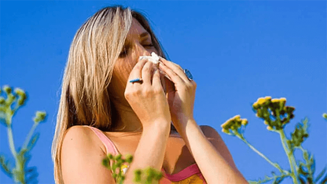 Summer Allergy tips