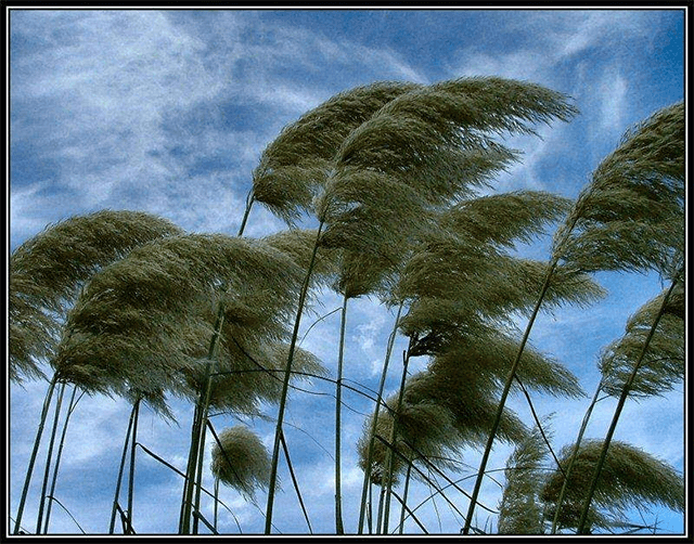 best weather for photography