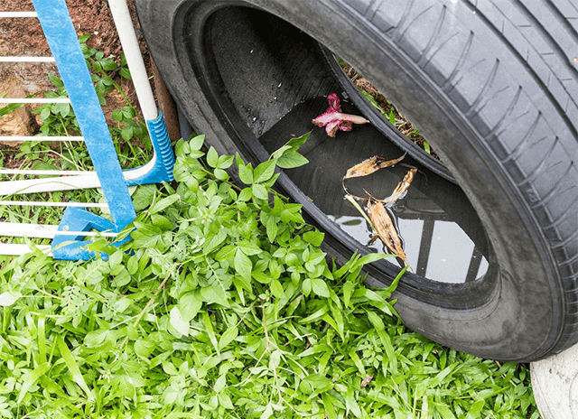 Essential Safety Precautions During Rainy Season