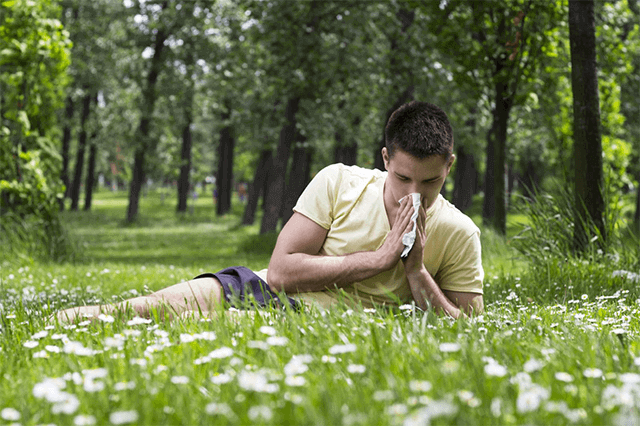 signs you have seasonal allergies